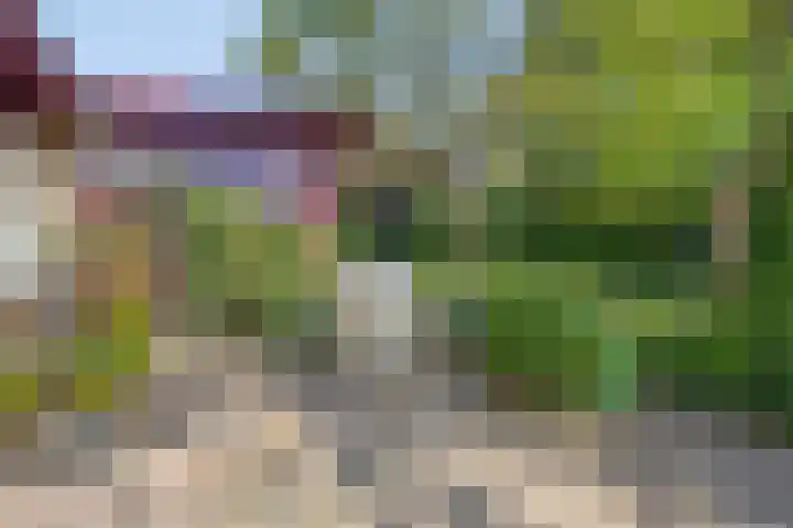 Holevoetlaan 45 Scherpenzeel thumbnail 18
