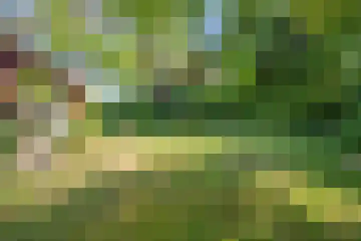 Holevoetlaan 45 Scherpenzeel thumbnail 19