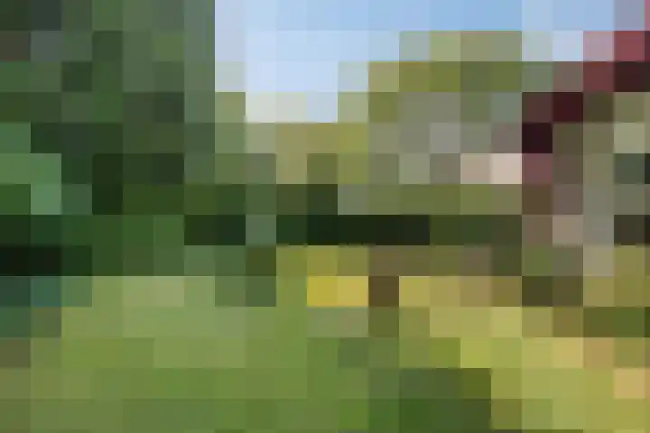 Holevoetlaan 45 Scherpenzeel thumbnail 20