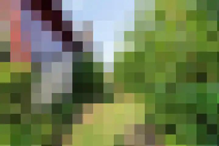 Holevoetlaan 45 Scherpenzeel thumbnail 21