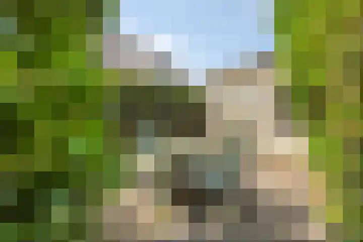 Holevoetlaan 45 Scherpenzeel thumbnail 22