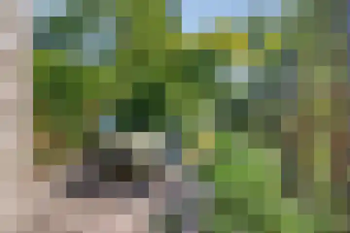 Holevoetlaan 45 Scherpenzeel thumbnail 23