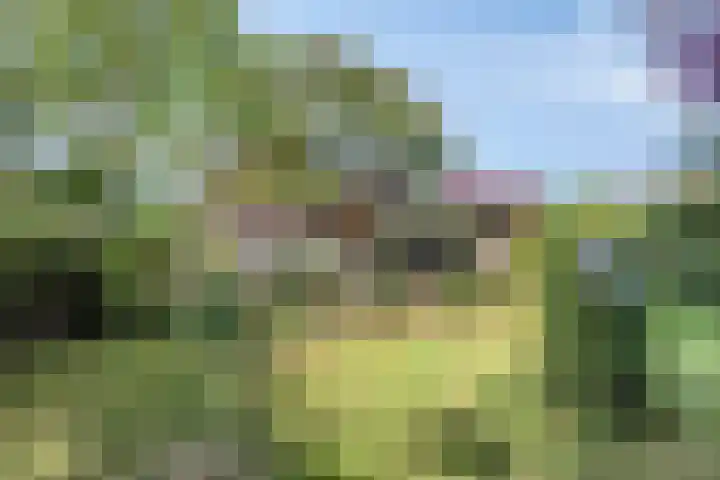 Holevoetlaan 45 Scherpenzeel thumbnail 24