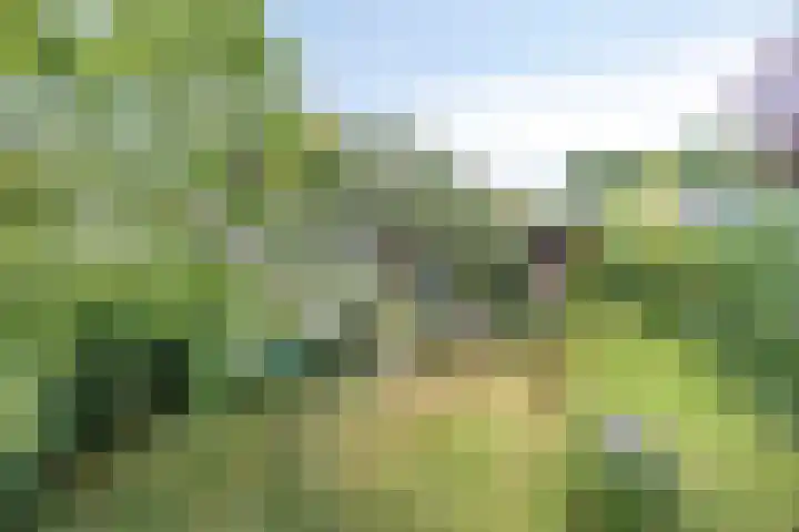 Holevoetlaan 45 Scherpenzeel thumbnail 25