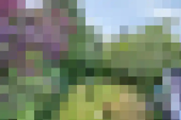 Holevoetlaan 45 Scherpenzeel thumbnail 26