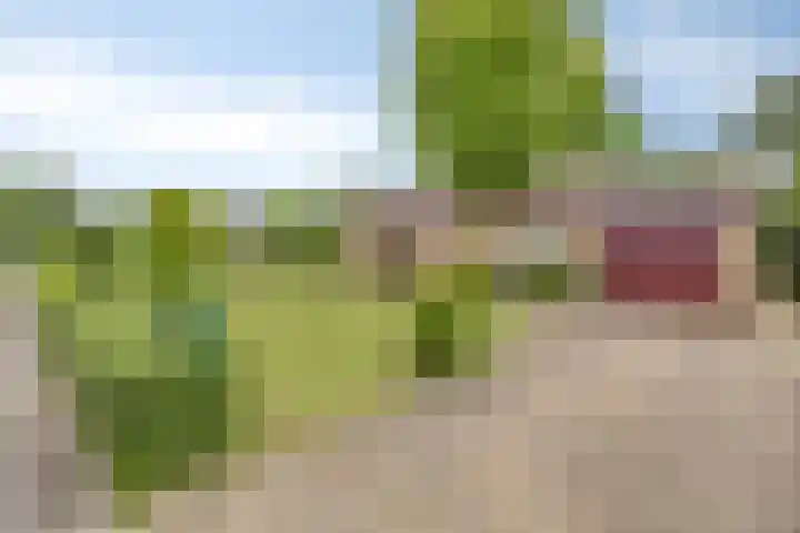 Holevoetlaan 45 Scherpenzeel thumbnail 27