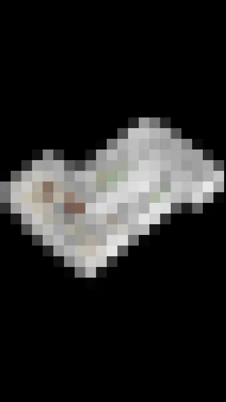 Holevoetlaan 45 Scherpenzeel thumbnail 32