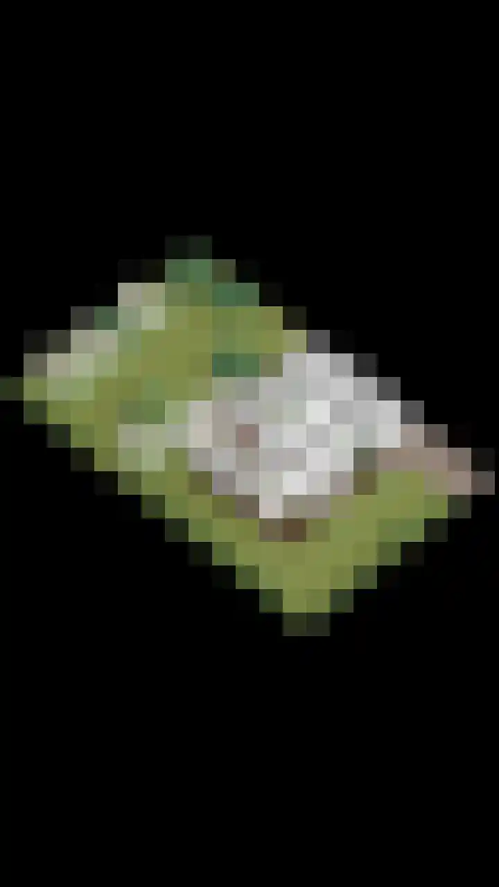 Holevoetlaan 45 Scherpenzeel thumbnail 34