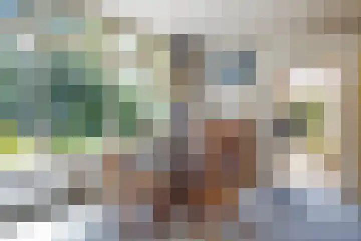 Holevoetlaan 45 Scherpenzeel thumbnail 5