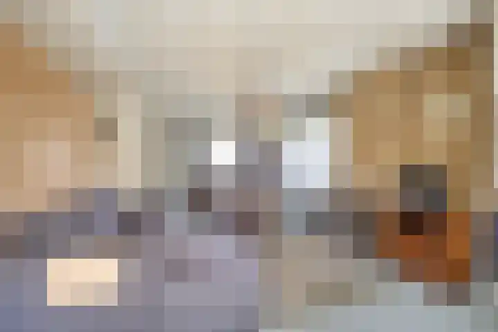 Holevoetlaan 45 Scherpenzeel thumbnail 6