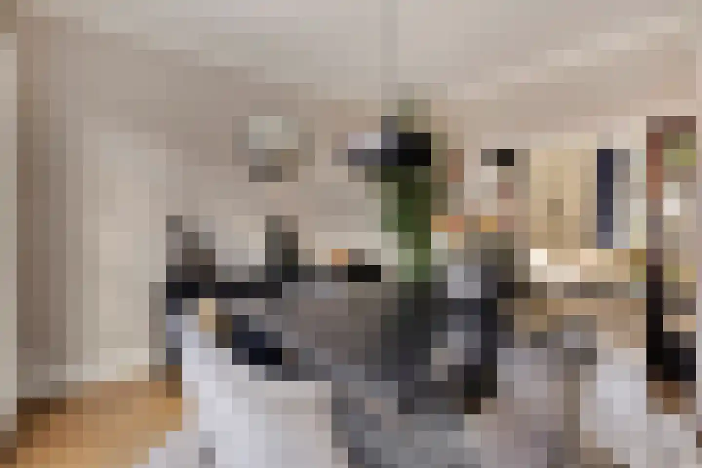 Holevoetplein 295 Scherpenzeel thumbnail 10