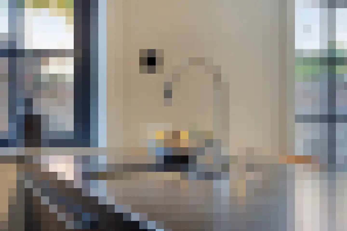 Holevoetplein 295 Scherpenzeel thumbnail 13