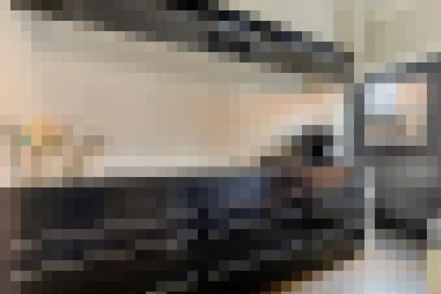 Holevoetplein 295 Scherpenzeel thumbnail 14