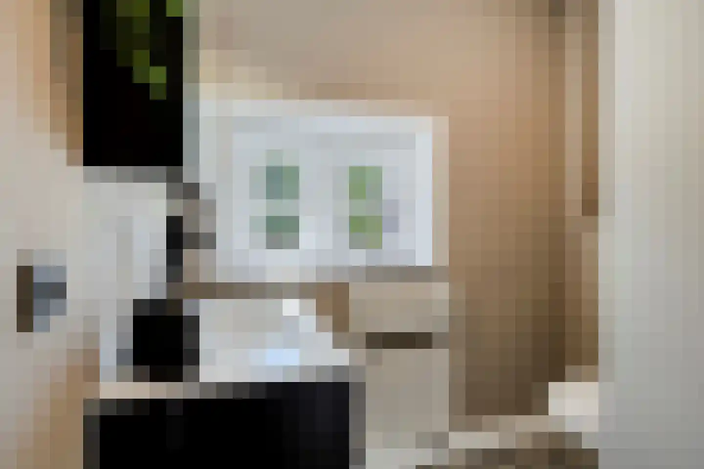 Holevoetplein 295 Scherpenzeel thumbnail 20