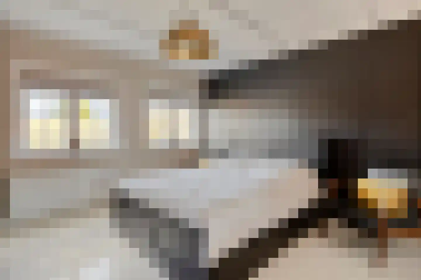 Holevoetplein 295 Scherpenzeel thumbnail 23