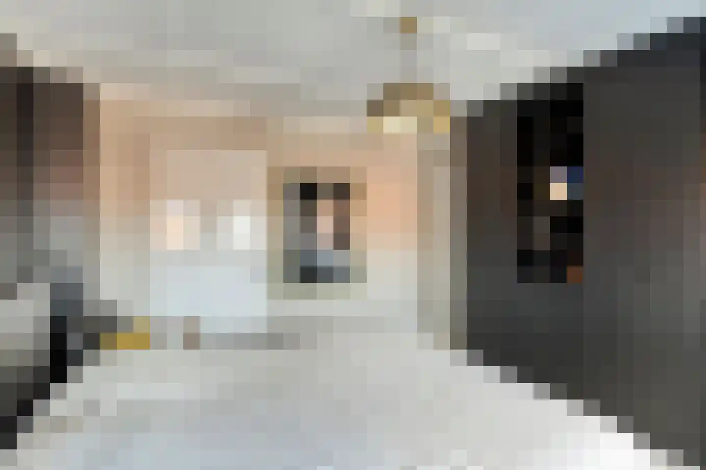 Holevoetplein 295 Scherpenzeel thumbnail 24