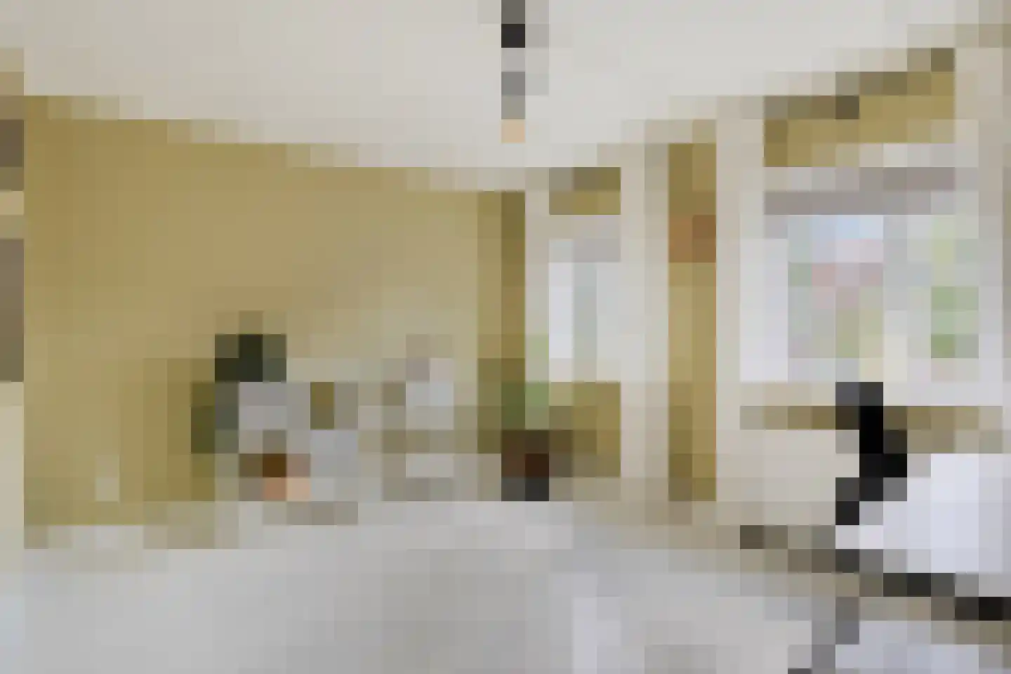 Holevoetplein 295 Scherpenzeel thumbnail 25