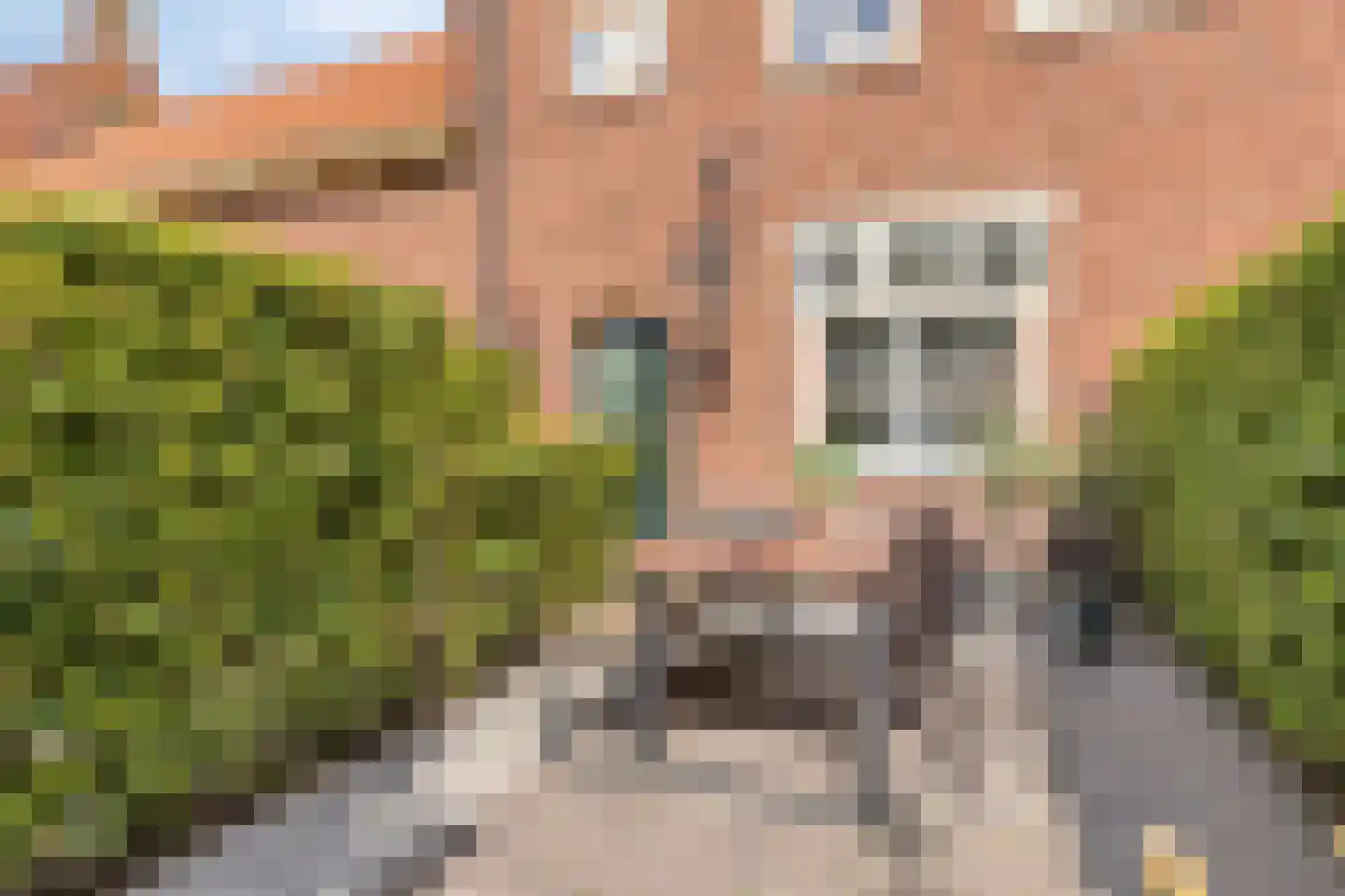 Holevoetplein 295 Scherpenzeel thumbnail 38