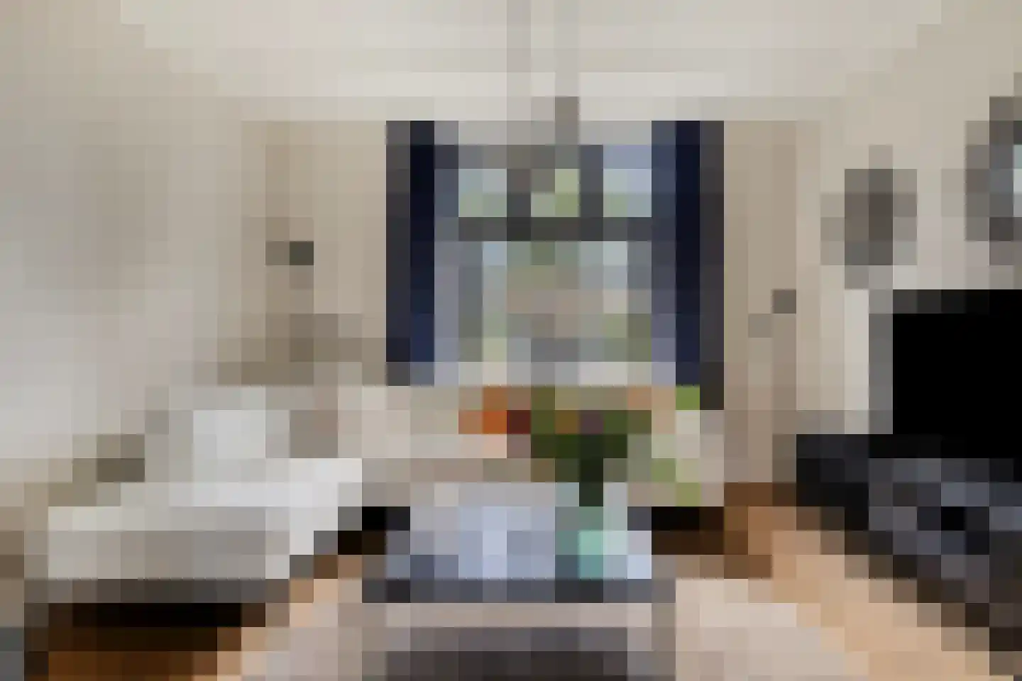 Holevoetplein 295 Scherpenzeel thumbnail 5