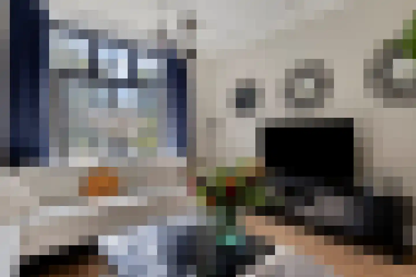 Holevoetplein 295 Scherpenzeel thumbnail 6