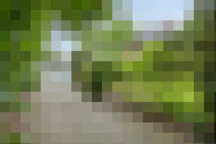 Holhorstweg 9 Beemte Broekland thumbnail 4