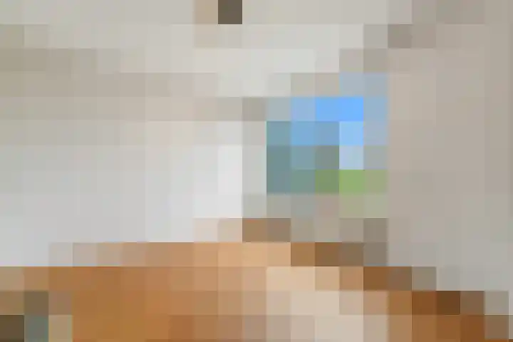 Holierhoek 24 Schipluiden thumbnail 13