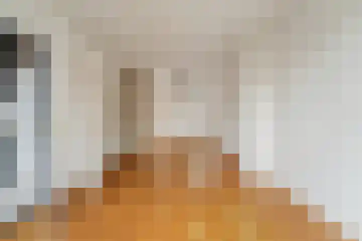 Holierhoek 24 Schipluiden thumbnail 16