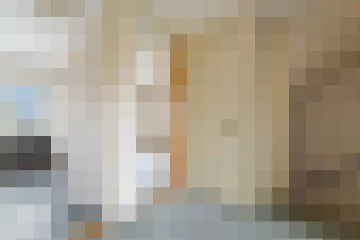 Holierhoek 24 Schipluiden thumbnail 21