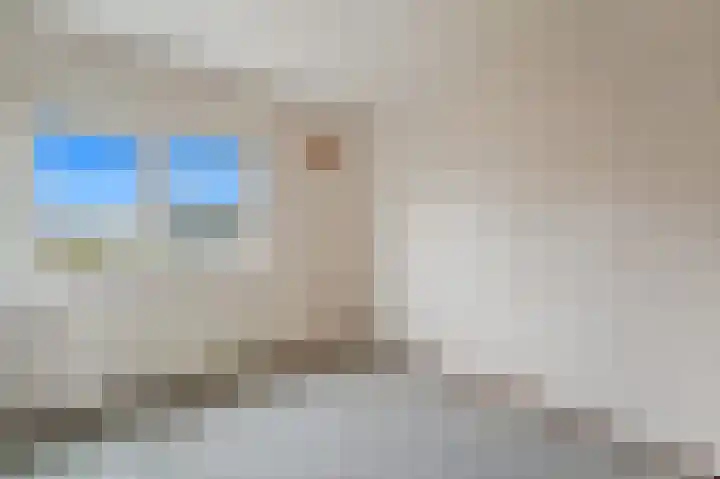 Holierhoek 24 Schipluiden thumbnail 22