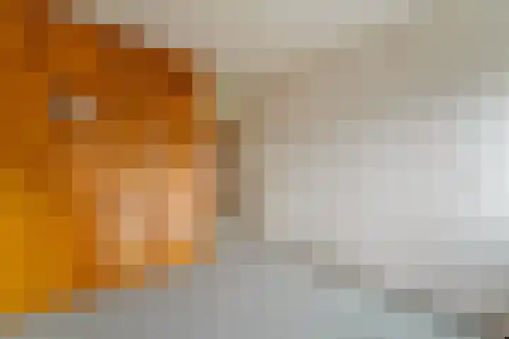 Holierhoek 24 Schipluiden thumbnail 23