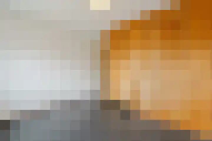 Holierhoek 24 Schipluiden thumbnail 25