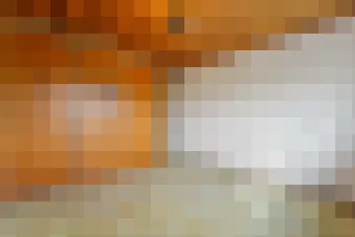 Holierhoek 24 Schipluiden thumbnail 29