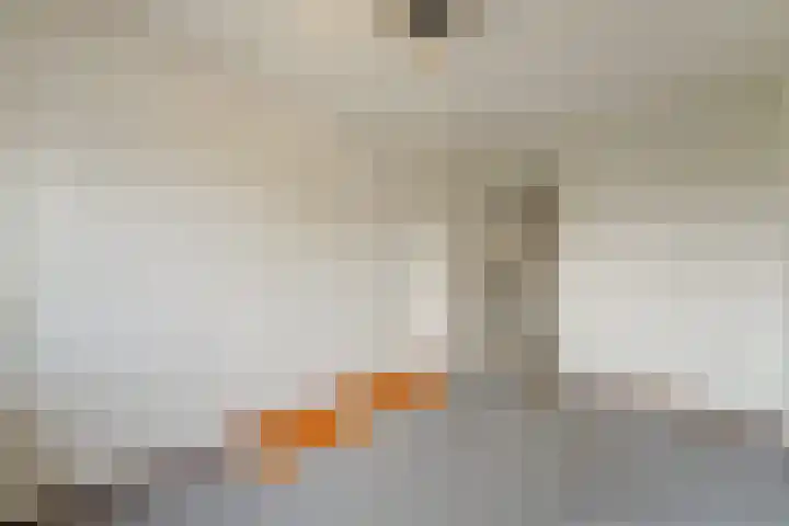 Holierhoek 24 Schipluiden thumbnail 31