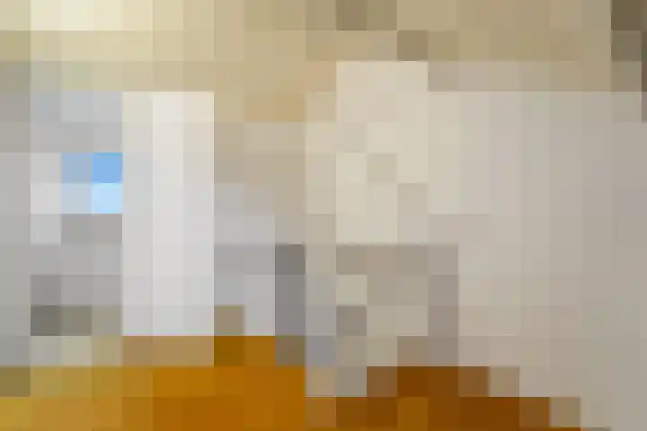 Holierhoek 24 Schipluiden thumbnail 32
