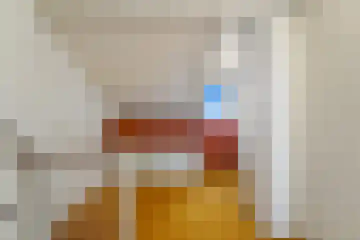 Holierhoek 24 Schipluiden thumbnail 33