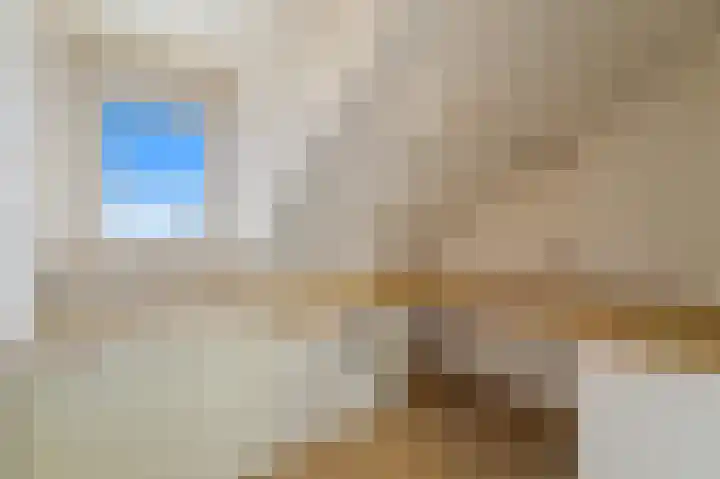 Holierhoek 24 Schipluiden thumbnail 34