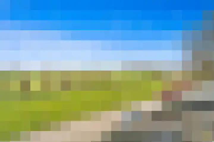 Holierhoek 24 Schipluiden thumbnail 37
