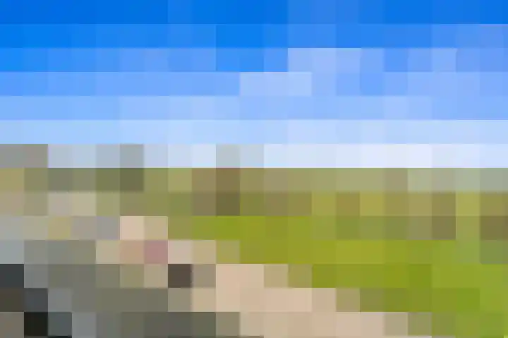 Holierhoek 24 Schipluiden thumbnail 38