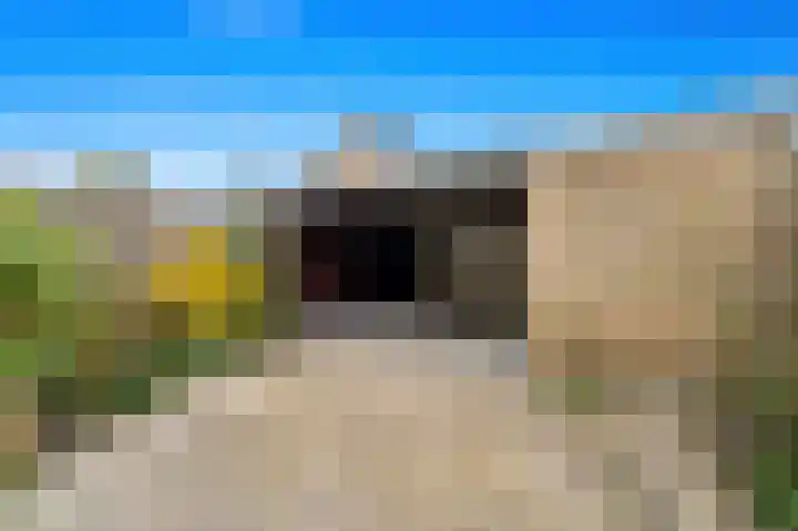 Holierhoek 24 Schipluiden thumbnail 40