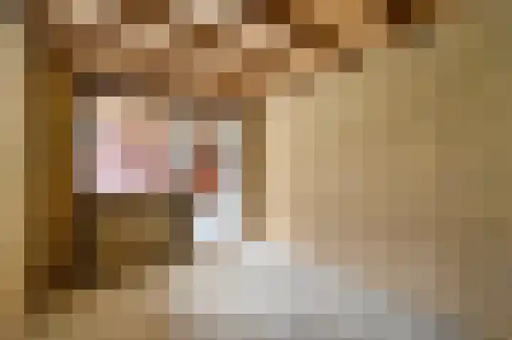 Holierhoek 24 Schipluiden thumbnail 43
