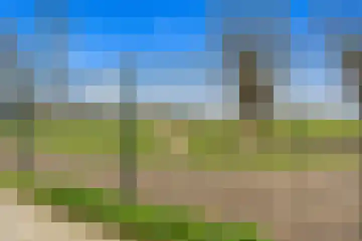 Holierhoek 24 Schipluiden thumbnail 45