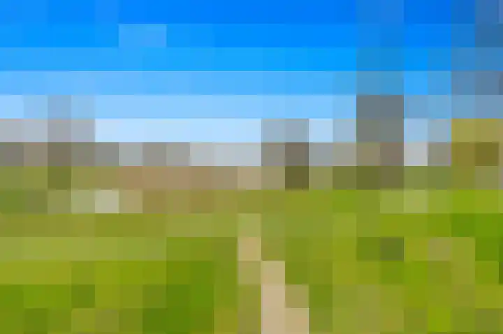 Holierhoek 24 Schipluiden thumbnail 47