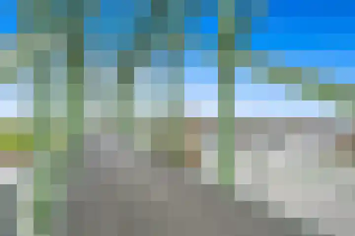 Holierhoek 24 Schipluiden thumbnail 48