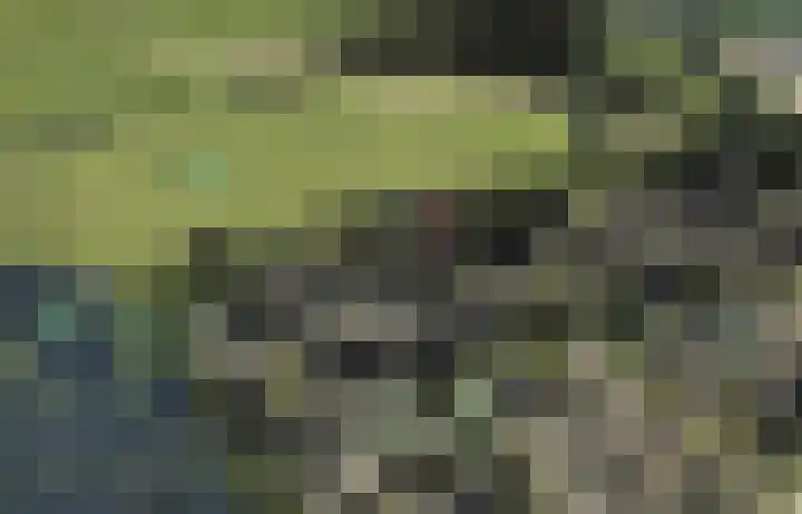 Holierhoek 24 Schipluiden thumbnail 5