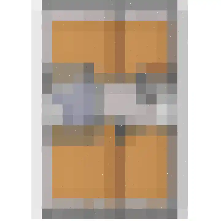 Holierhoek 24 Schipluiden thumbnail 66
