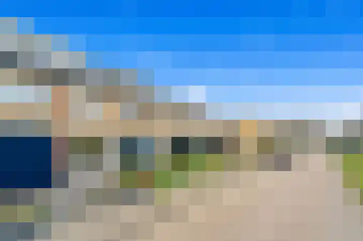 Holierhoek 24 Schipluiden thumbnail 7