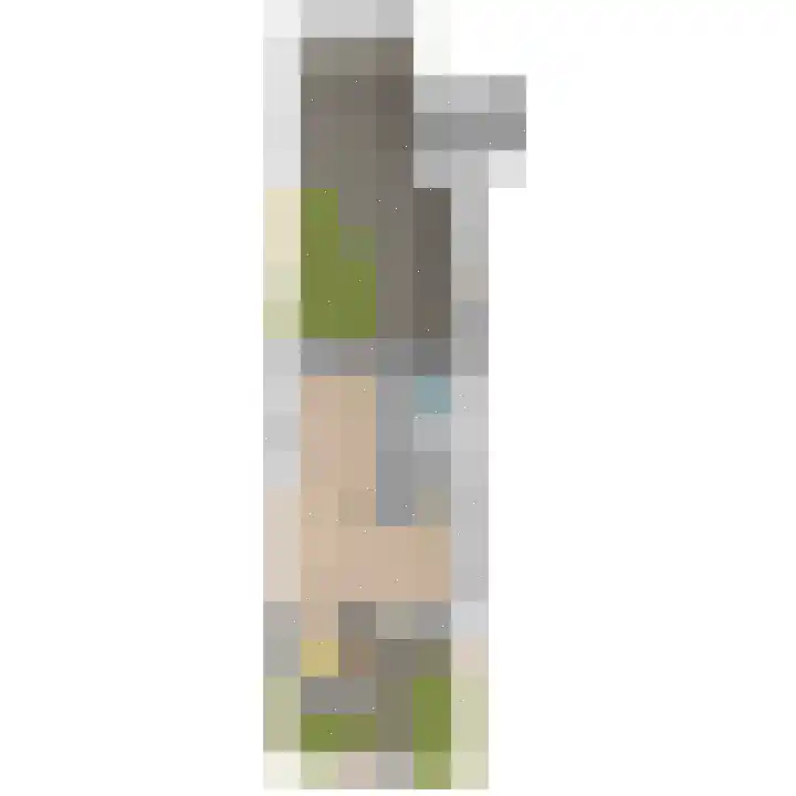 Holierhoek 24 Schipluiden thumbnail 79
