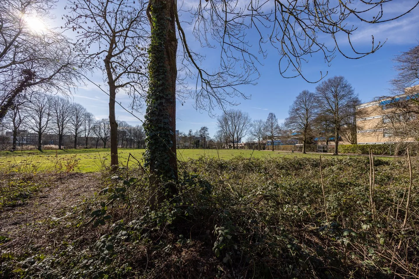 Holkerweg 36 Amersfoort thumbnail 15