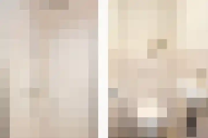 Team foto van Holland Huis Makelaars