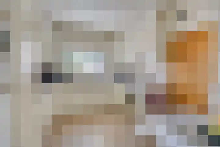 Hollanderbroeksestraat 30 Elst thumbnail 15